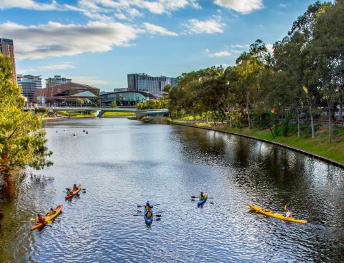 Discovering the River Torrens. Everything involved with our Adelaide City Kayak Tour