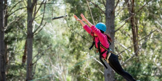 Earth Adventure Outdoor Activities Leap of Faith