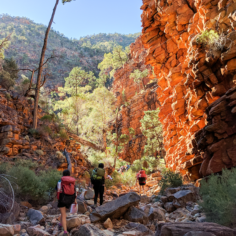 Earth Adventure Outdoor Activities Flinders Ranges