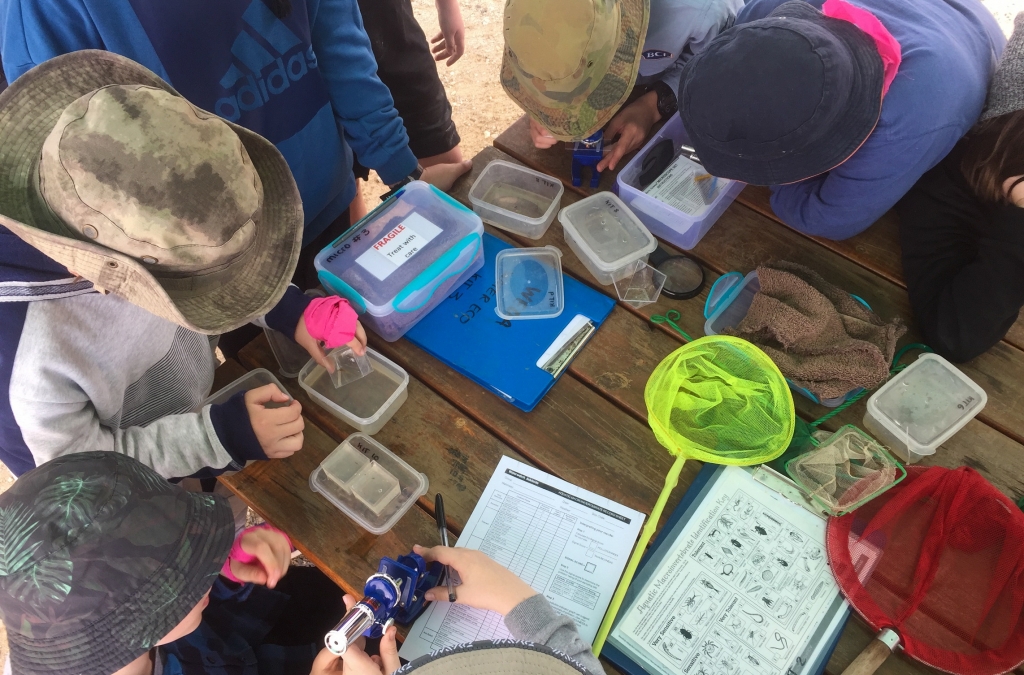 Earth Adventure Outdoor Activities Water Ecology Earth Adventure Outdoor Activities Water Ecology