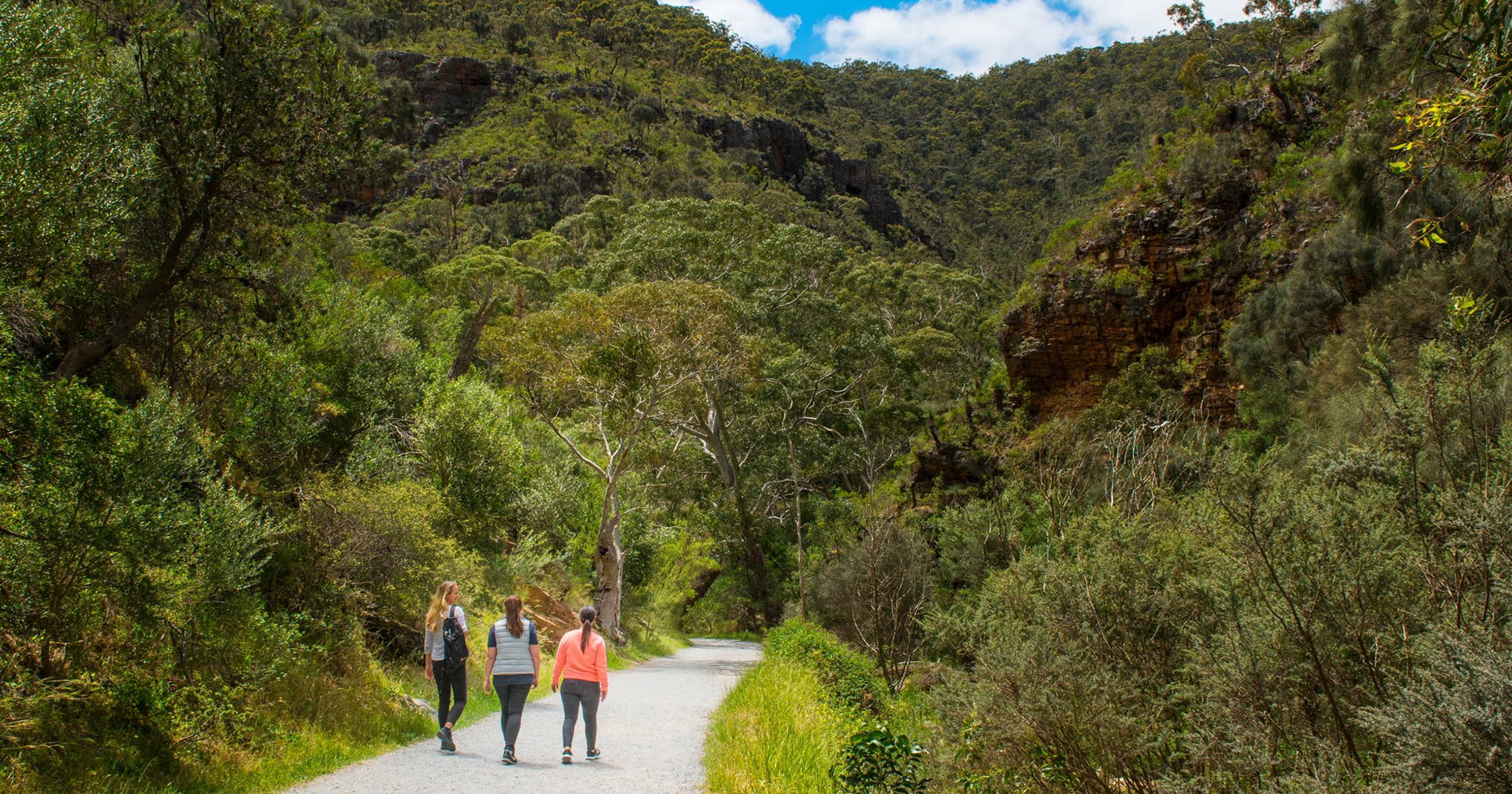 Outdoor Activities in Winter Bushwalking