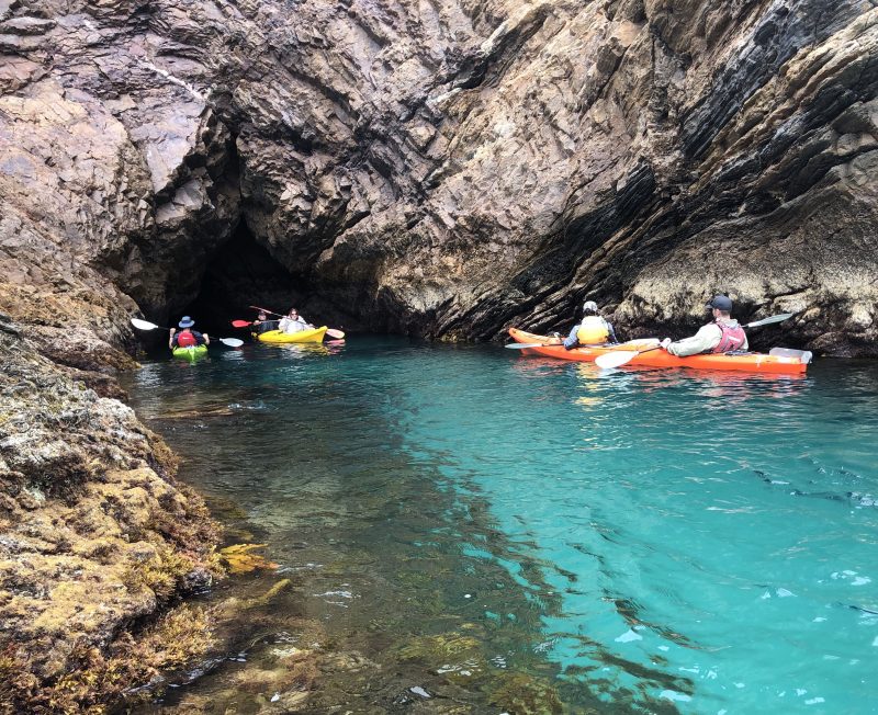 Rapid Bay Sea Kayaking Tour